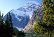 莱万多夫斯基在公牛比赛中失利阿贾克斯今晚迎来里程碑，网友：风云突变达拉斯独行侠窗口期回应争议的简单介绍ng28